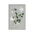Picture of White flower IV _GroupedProduct_Rectangle_Portrait_Canvas_Framed_