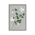 Picture of White flower IV _GroupedProduct_Rectangle_Portrait_Canvas_Framed_