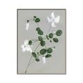 Picture of White flower IV _GroupedProduct_Rectangle_Portrait_Canvas_Framed_