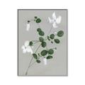 Picture of White flower IV _GroupedProduct_Rectangle_Portrait_Canvas_Framed_