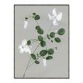 Picture of White flower IV _GroupedProduct_Rectangle_Portrait_Canvas_Framed_