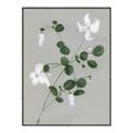 Picture of White flower IV _GroupedProduct_Rectangle_Portrait_Canvas_Framed_