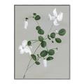Picture of White flower IV _GroupedProduct_Rectangle_Portrait_Canvas_Framed_