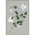 Picture of White flower IV _GroupedProduct_Rectangle_Portrait_Canvas_Framed_
