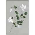 Picture of White flower IV _GroupedProduct_Rectangle_Portrait_Canvas_Framed_