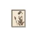 Picture of Vintage Botanical I  _GroupedProduct_Rectangle_Portrait_Canvas_Framed_