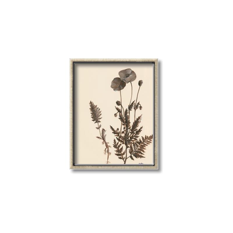 Picture of Vintage Botanical I  _GroupedProduct_Rectangle_Portrait_Canvas_Framed_