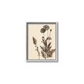 Picture of Vintage Botanical I  _GroupedProduct_Rectangle_Portrait_Canvas_Framed_