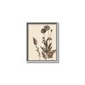 Picture of Vintage Botanical I  _GroupedProduct_Rectangle_Portrait_Canvas_Framed_