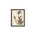 Picture of Vintage Botanical I  _GroupedProduct_Rectangle_Portrait_Canvas_Framed_