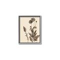 Picture of Vintage Botanical I  _GroupedProduct_Rectangle_Portrait_Canvas_Framed_