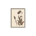 Picture of Vintage Botanical I  _GroupedProduct_Rectangle_Portrait_Canvas_Framed_