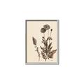 Picture of Vintage Botanical I  _GroupedProduct_Rectangle_Portrait_Canvas_Framed_