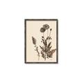 Picture of Vintage Botanical I  _GroupedProduct_Rectangle_Portrait_Canvas_Framed_