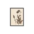 Picture of Vintage Botanical I  _GroupedProduct_Rectangle_Portrait_Canvas_Framed_