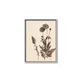 Picture of Vintage Botanical I  _GroupedProduct_Rectangle_Portrait_Canvas_Framed_