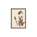 Picture of Vintage Botanical I  _GroupedProduct_Rectangle_Portrait_Canvas_Framed_