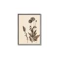 Picture of Vintage Botanical I  _GroupedProduct_Rectangle_Portrait_Canvas_Framed_