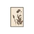 Picture of Vintage Botanical I  _GroupedProduct_Rectangle_Portrait_Canvas_Framed_