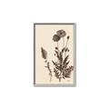 Picture of Vintage Botanical I  _GroupedProduct_Rectangle_Portrait_Canvas_Framed_