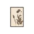 Picture of Vintage Botanical I  _GroupedProduct_Rectangle_Portrait_Canvas_Framed_