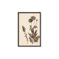 Picture of Vintage Botanical I  _GroupedProduct_Rectangle_Portrait_Canvas_Framed_