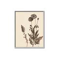 Picture of Vintage Botanical I  _GroupedProduct_Rectangle_Portrait_Canvas_Framed_