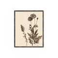 Picture of Vintage Botanical I  _GroupedProduct_Rectangle_Portrait_Canvas_Framed_
