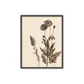 Picture of Vintage Botanical I  _GroupedProduct_Rectangle_Portrait_Canvas_Framed_