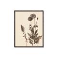 Picture of Vintage Botanical I  _GroupedProduct_Rectangle_Portrait_Canvas_Framed_