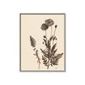 Picture of Vintage Botanical I  _GroupedProduct_Rectangle_Portrait_Canvas_Framed_