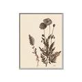 Picture of Vintage Botanical I  _GroupedProduct_Rectangle_Portrait_Canvas_Framed_