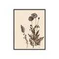 Picture of Vintage Botanical I  _GroupedProduct_Rectangle_Portrait_Canvas_Framed_