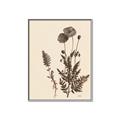 Picture of Vintage Botanical I  _GroupedProduct_Rectangle_Portrait_Canvas_Framed_