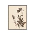Picture of Vintage Botanical I  _GroupedProduct_Rectangle_Portrait_Canvas_Framed_