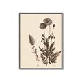 Picture of Vintage Botanical I  _GroupedProduct_Rectangle_Portrait_Canvas_Framed_