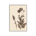 Picture of Vintage Botanical I  _GroupedProduct_Rectangle_Portrait_Canvas_Framed_