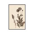 Picture of Vintage Botanical I  _GroupedProduct_Rectangle_Portrait_Canvas_Framed_