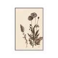 Picture of Vintage Botanical I  _GroupedProduct_Rectangle_Portrait_Canvas_Framed_