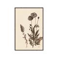 Picture of Vintage Botanical I  _GroupedProduct_Rectangle_Portrait_Canvas_Framed_