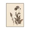 Picture of Vintage Botanical I  _GroupedProduct_Rectangle_Portrait_Canvas_Framed_