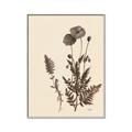 Picture of Vintage Botanical I  _GroupedProduct_Rectangle_Portrait_Canvas_Framed_