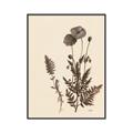 Picture of Vintage Botanical I  _GroupedProduct_Rectangle_Portrait_Canvas_Framed_