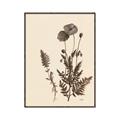 Picture of Vintage Botanical I  _GroupedProduct_Rectangle_Portrait_Canvas_Framed_