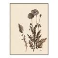 Picture of Vintage Botanical I  _GroupedProduct_Rectangle_Portrait_Canvas_Framed_