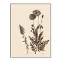 Picture of Vintage Botanical I  _GroupedProduct_Rectangle_Portrait_Canvas_Framed_