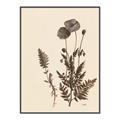 Picture of Vintage Botanical I  _GroupedProduct_Rectangle_Portrait_Canvas_Framed_