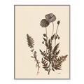Picture of Vintage Botanical I  _GroupedProduct_Rectangle_Portrait_Canvas_Framed_