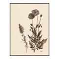 Picture of Vintage Botanical I  _GroupedProduct_Rectangle_Portrait_Canvas_Framed_