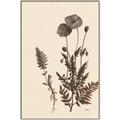 Picture of Vintage Botanical I  _GroupedProduct_Rectangle_Portrait_Canvas_Framed_
